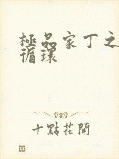 极品家丁之因果循环封面