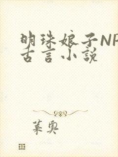 明珠娘子NPC古言小说封面