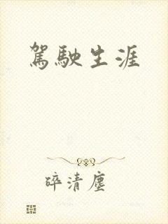 驾驶生涯