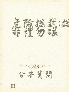 危险总裁:总裁非礼勿碰