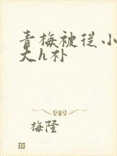 青梅被从小摸到大h补
