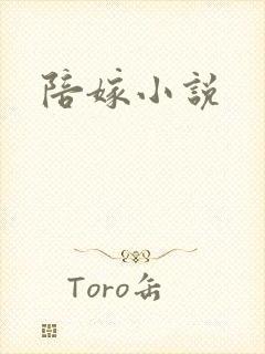 陪嫁小说