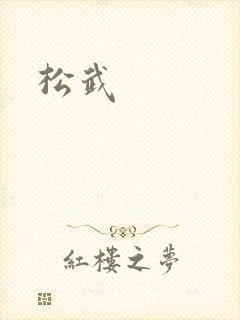 松武封面