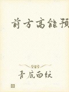 前方高能预警封面
