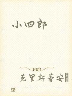 小四郎封面