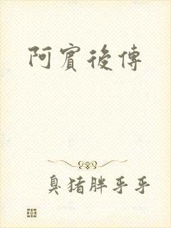 阿宾后传