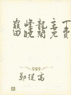 巅峰龙主丁长顺田晓兰免费阅读封面
