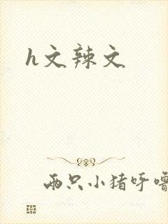 h文辣文封面