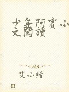 少年阿宾小说全文阅读封面