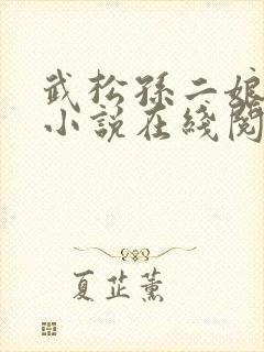 武松孙二娘云雨小说在线阅读