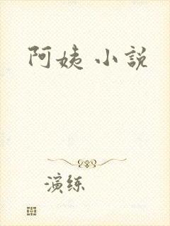 阿姨 小说