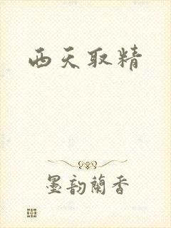 西天取精封面