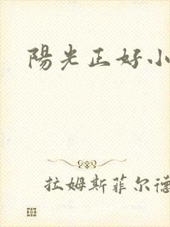 阳光正好小说
