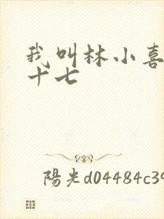 我叫林小喜今年十七封面