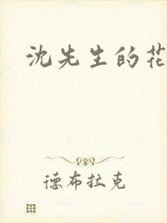 沈先生的花式