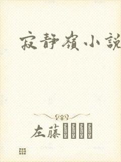 寂静岭小说