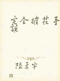 完全摧花手册小说封面