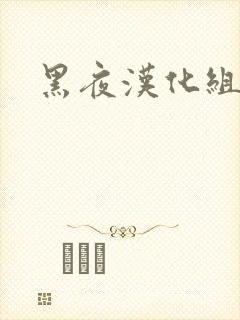 黑夜汉化组封面