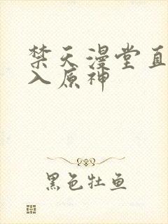 禁天漫堂直接进入原神