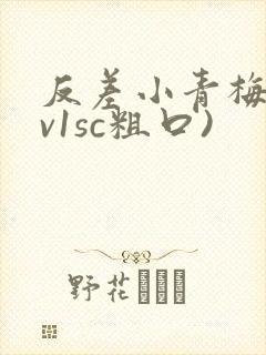反差小青梅(1v1sc粗口)封面