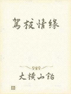 驾校情缘