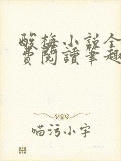 酸梅小说全文免费阅读笔趣阁