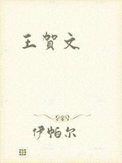 王贺文封面