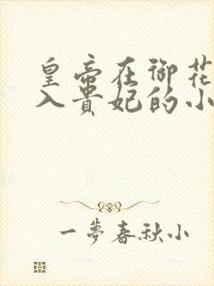 皇帝在御花园进入贵妃的小说
