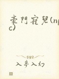 豪门宠儿(npc)