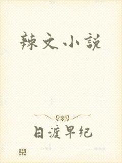 辣文小说