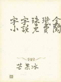 字字珠玑金银花小说免费阅读封面
