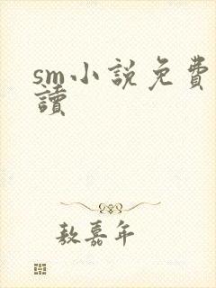 sm小说免费阅读