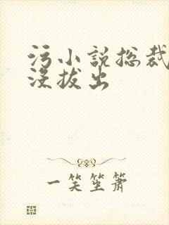 污小说总裁整夜没拔出