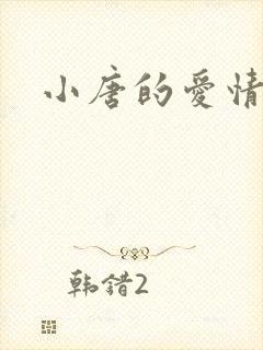 小唐的爱情史