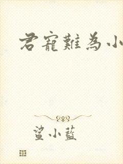 君宠难为小说