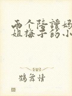 两个陪读妈妈赵姐梅子的小说封面
