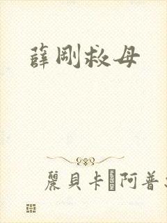 薛刚救母