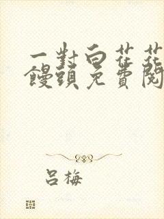 一对白花花的大馒头免费阅读