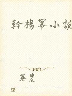 干杨幂小说