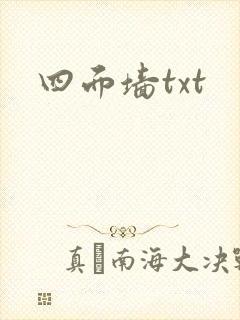 四面墙txt