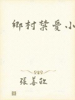 乡村禁爱小说