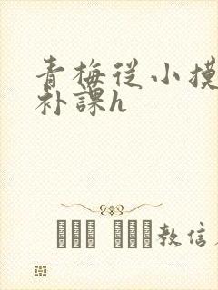 青梅从小摸到大补课h