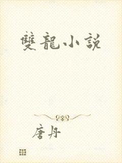 双龙小说封面
