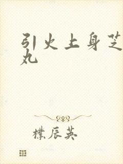 引火上身芝麻糖丸