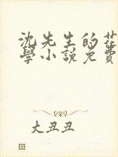 沈先生的花式教学小说免费封面