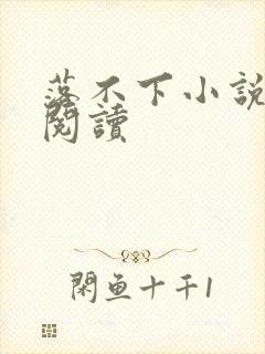落不下小说免费阅读