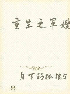 重生之军嫂封面