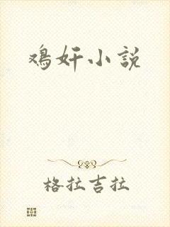 鸡奸小说
