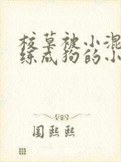 校草被小混混训练成狗的小说封面
