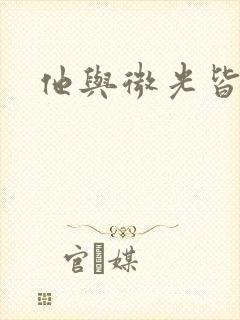 他与微光皆倾城